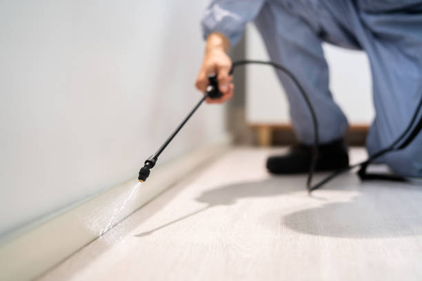 Licensed Termite Control service in Waurika, OK - Nex Pest Control