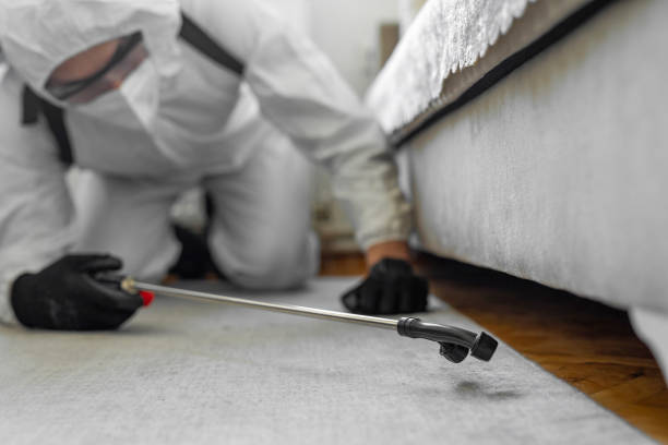 Professional Termite Control technician working in Waurika, OK