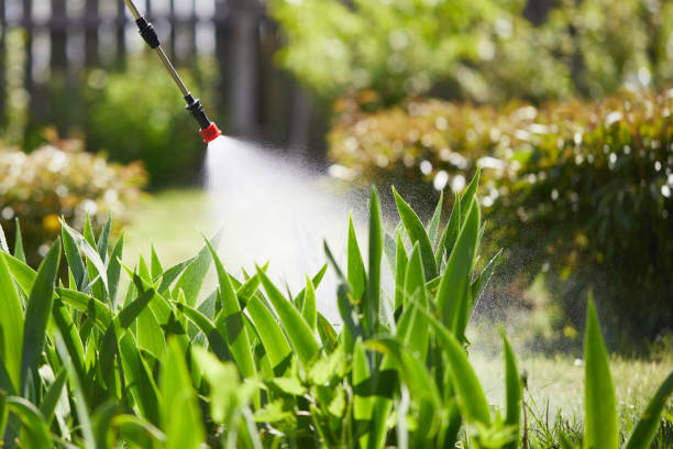 24/7 Emergency Termite Control experts in Waurika, OK
