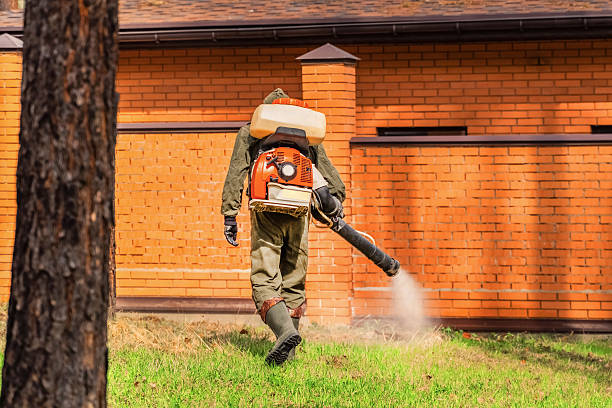Top rated local Termite Control specialists in Waurika, OK